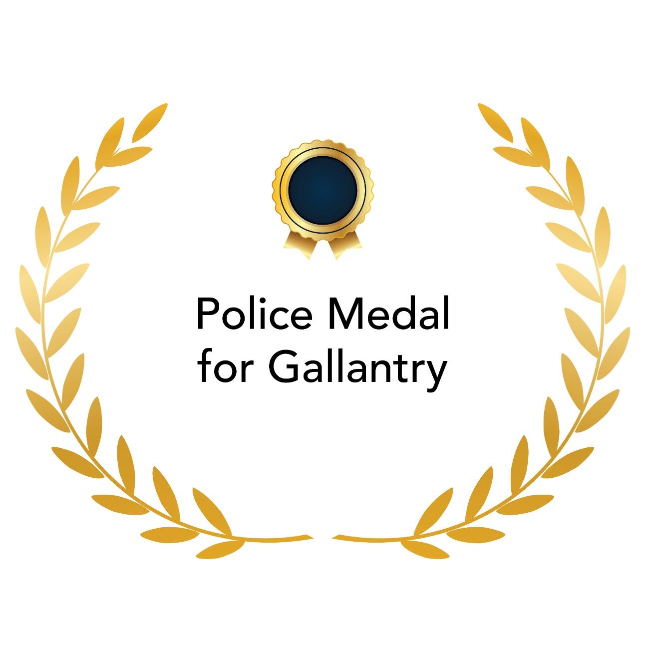 02-PoliceMedalforGallantr